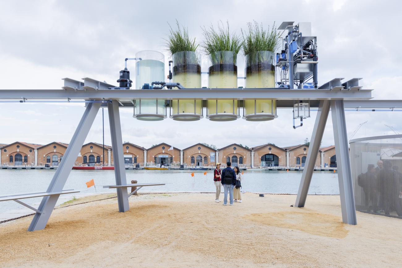 Canal Café by Diller, Scofidio + Renfro. Photo: Iwan Baan.