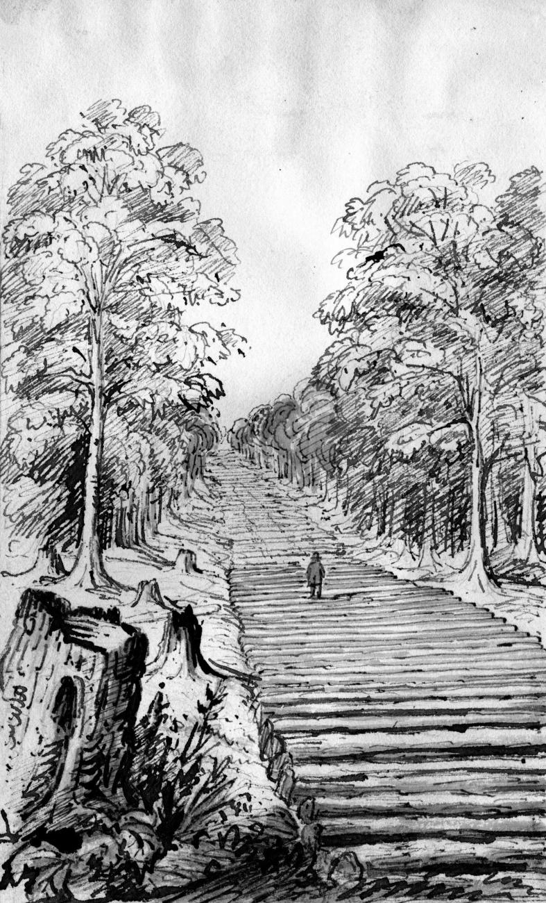 Corduroy Road Orillia_Public Domain_70247_bw