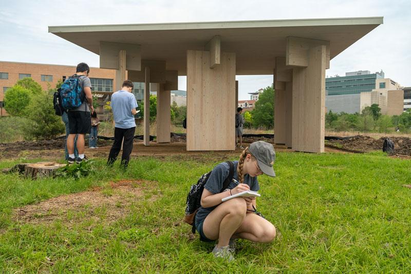 Mass Timber Pavilion