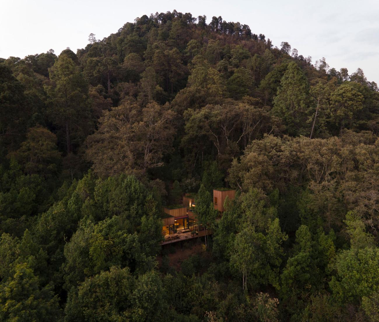 House in a forest on mountain