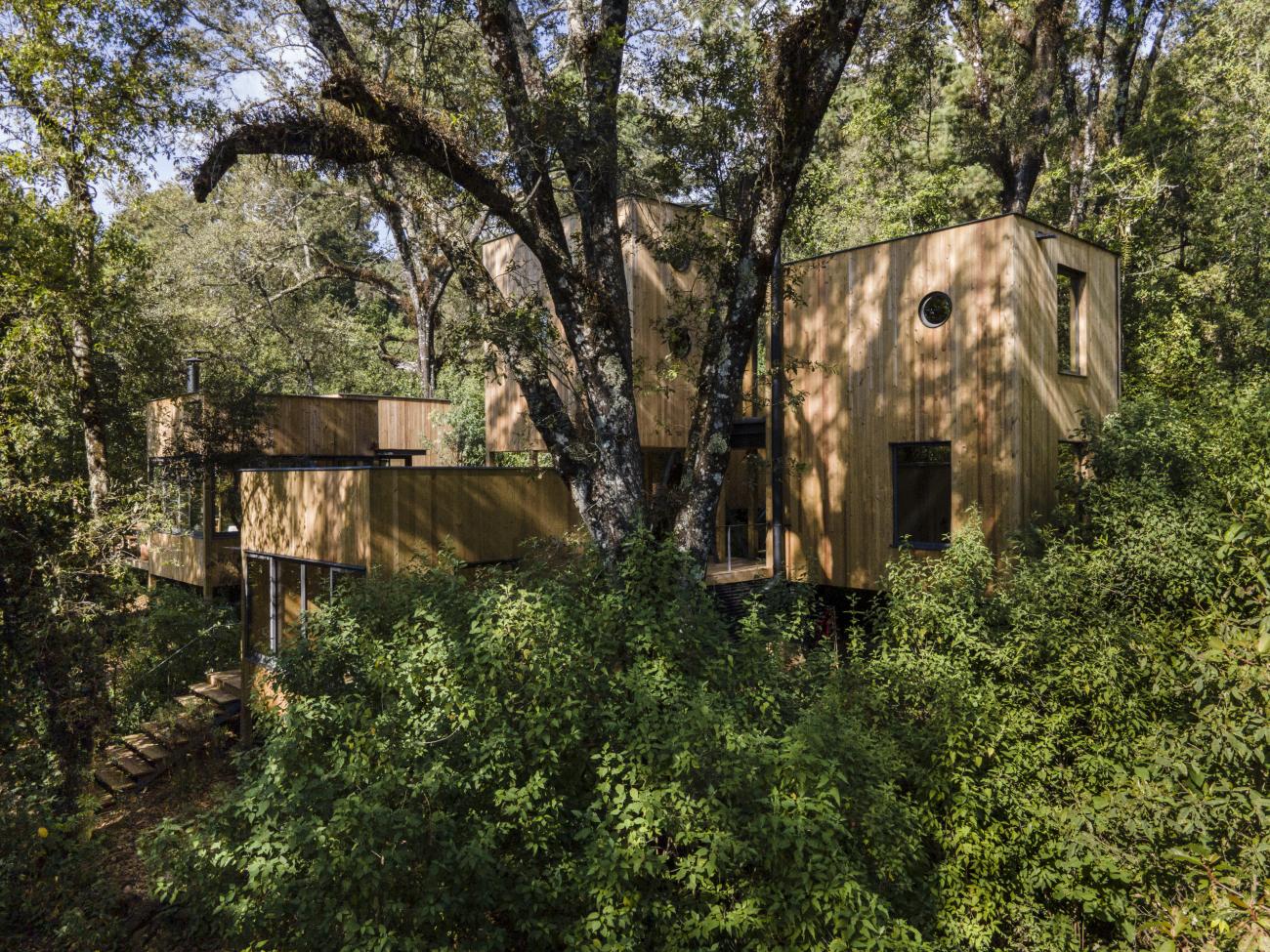 House surrounded by trees